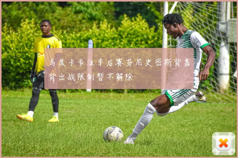 乌度卡专注季后赛芬尼史密斯背靠背出战限制暂不解除