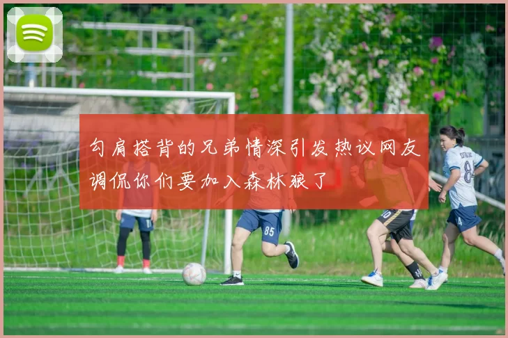 勾肩搭背的兄弟情深引发热议网友调侃你们要加入森林狼了